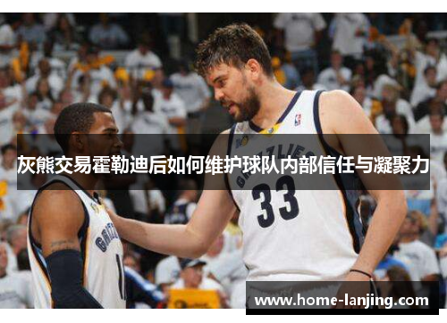 灰熊交易霍勒迪后如何维护球队内部信任与凝聚力