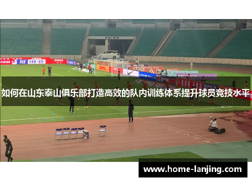 如何在山东泰山俱乐部打造高效的队内训练体系提升球员竞技水平