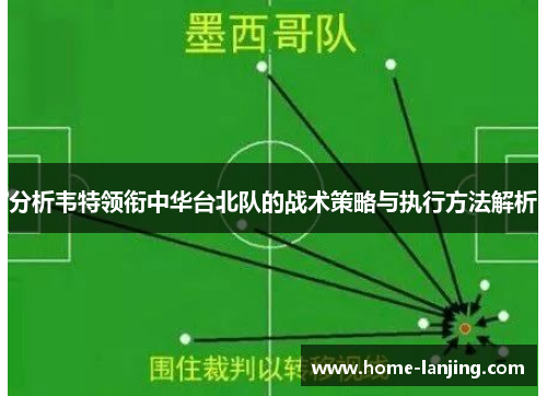 分析韦特领衔中华台北队的战术策略与执行方法解析