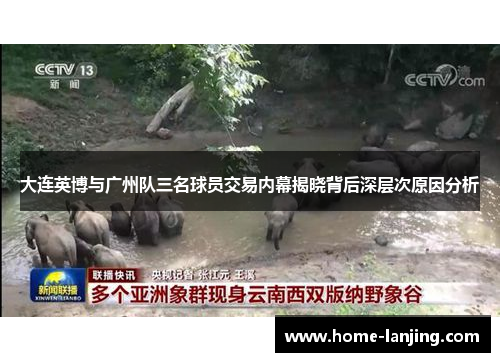 大连英博与广州队三名球员交易内幕揭晓背后深层次原因分析