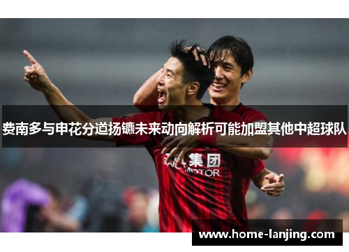 费南多与申花分道扬镳未来动向解析可能加盟其他中超球队