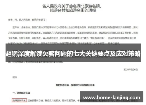 赵鹏深度解读欠薪问题的七大关键要点及应对策略